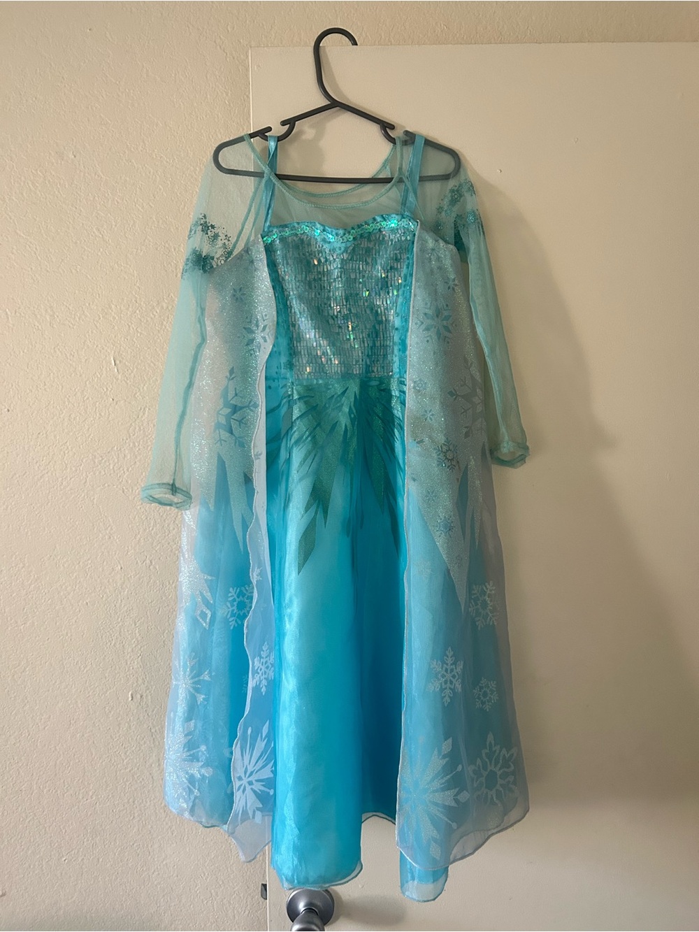 Authentic Disneyland Park Elsa “Frozen” Costume